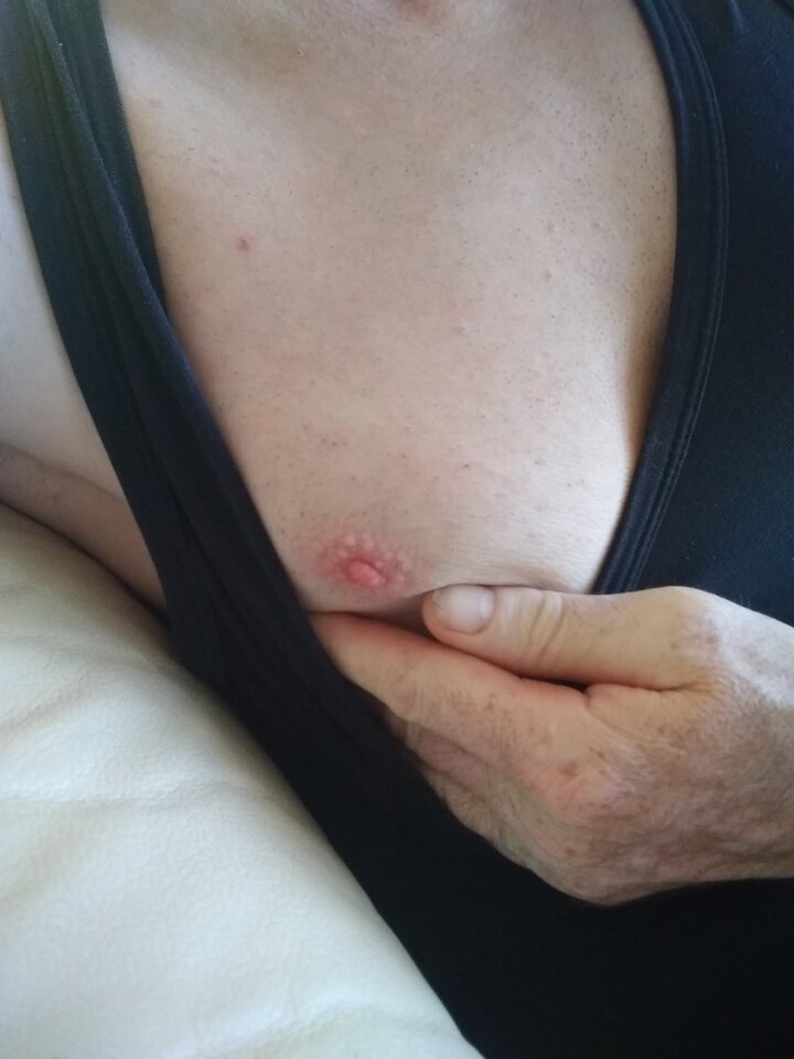 15879895528339019510473320629829.jpg - Palciusia