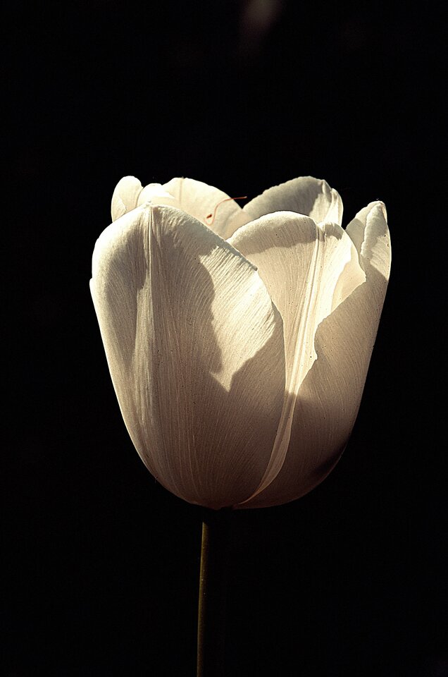 W ostrym słońcu - mystic