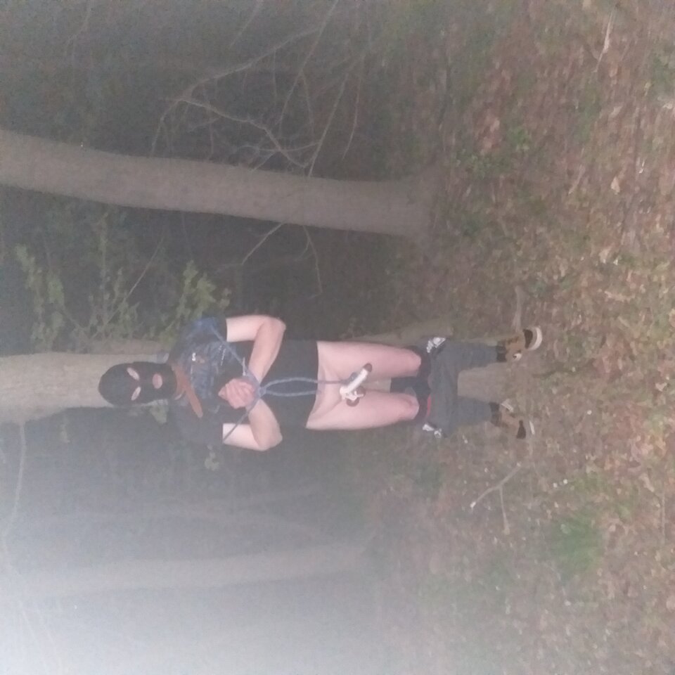 noc w lesie.jpg - exit69