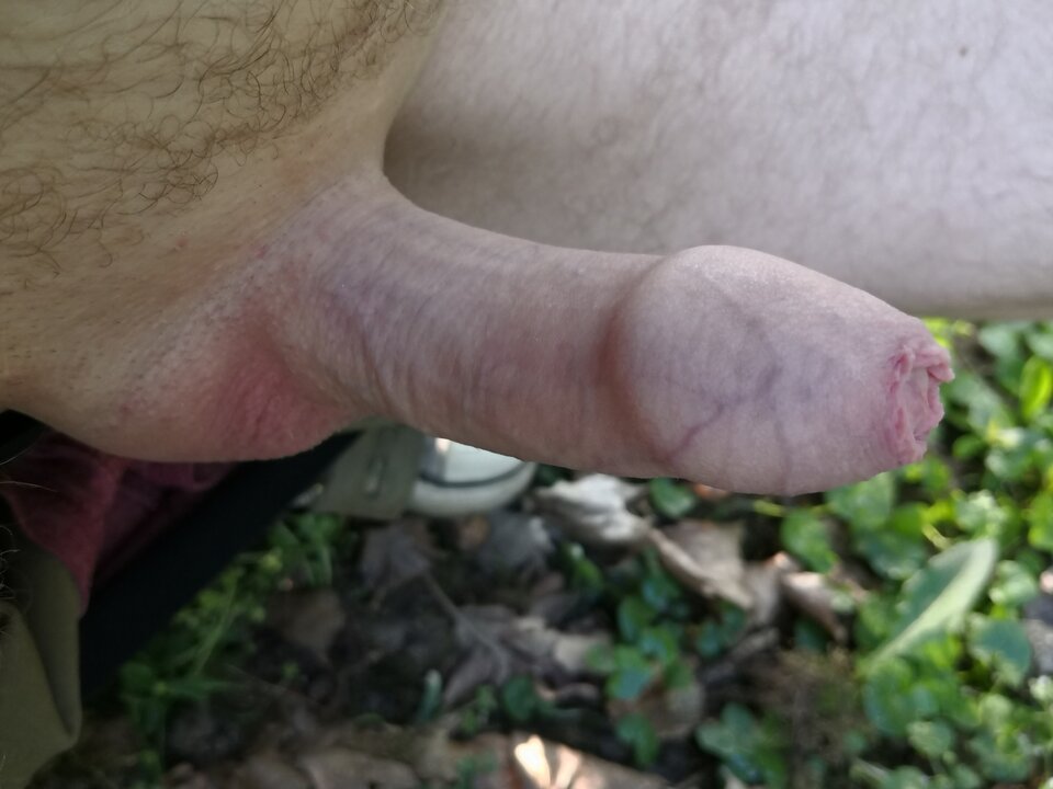 IMG_20200428_075507.jpg - ragun