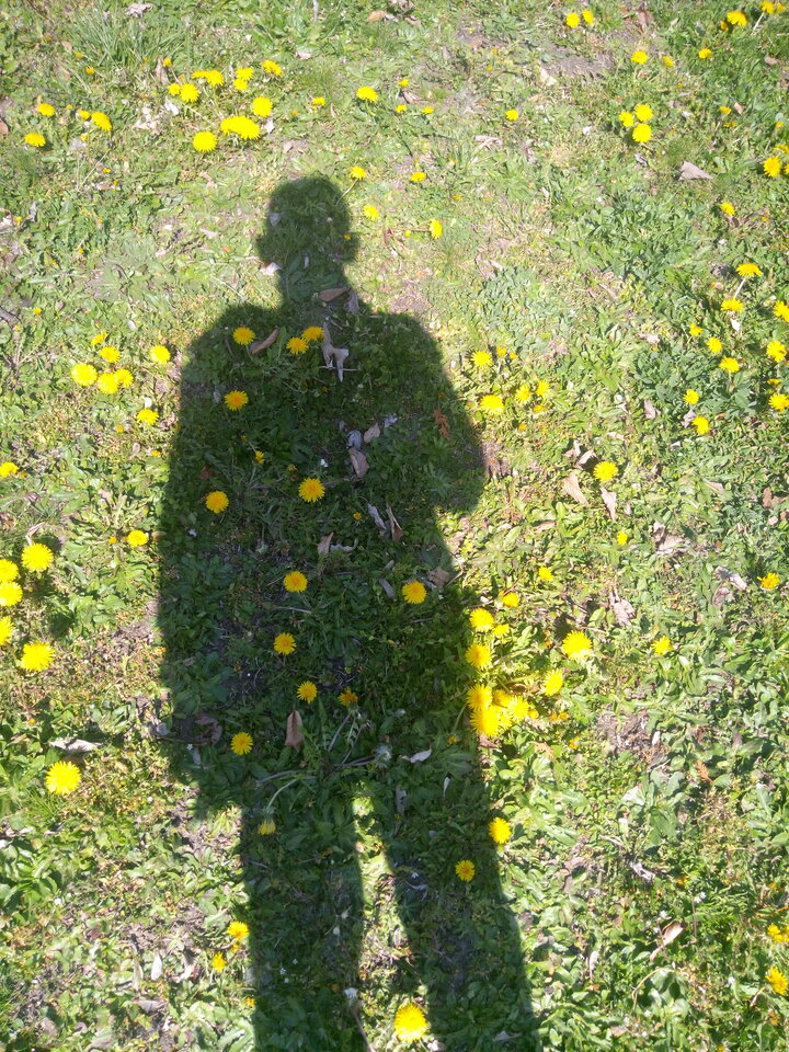 🌞🌼🌼🌼 - anielski61