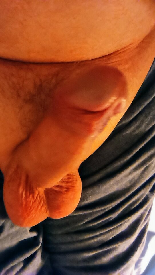 IMG_20200428_085427.jpg - limuzyna56