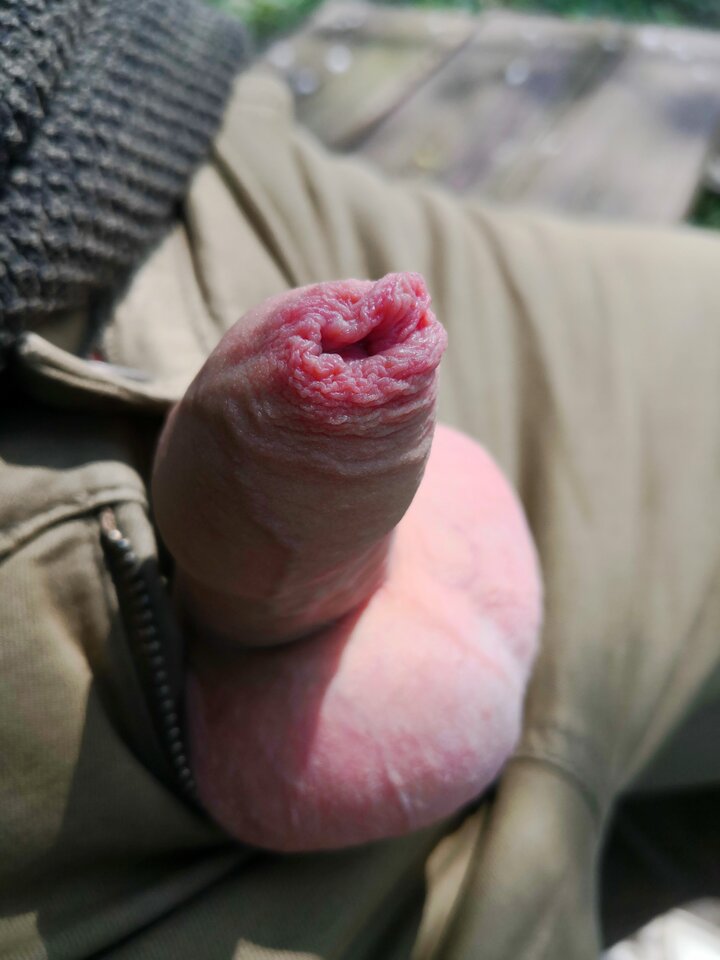 IMG_20200428_131153.jpg - ragun