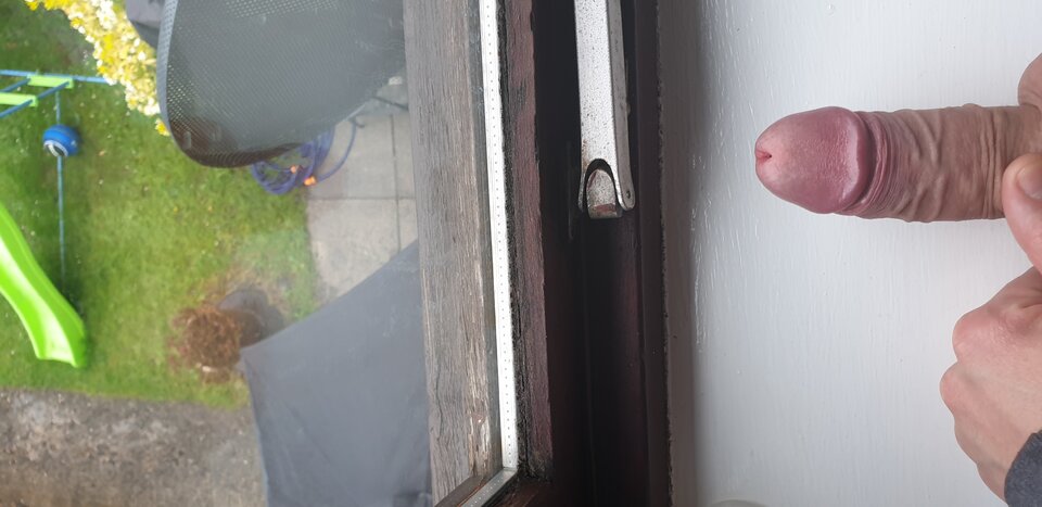 2020-04-28 13.28.26.jpg - adamo87bz