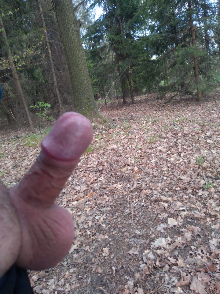 IMG_20200428_175533.jpg - tomasz0230