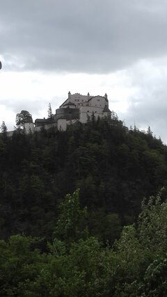 IMG_20200428_180517.jpg