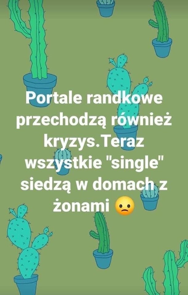 IMG_5887.JPG - Zoltar39