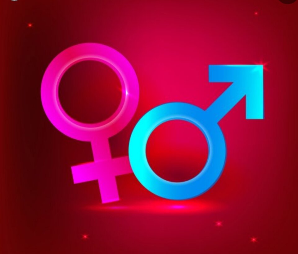 20200428_215246.jpg - Biactive