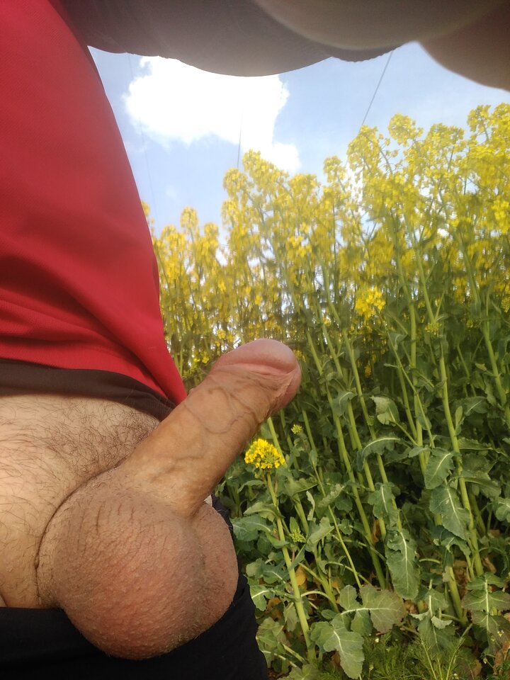 IMG_20200430_175440.jpg - tomasz0230