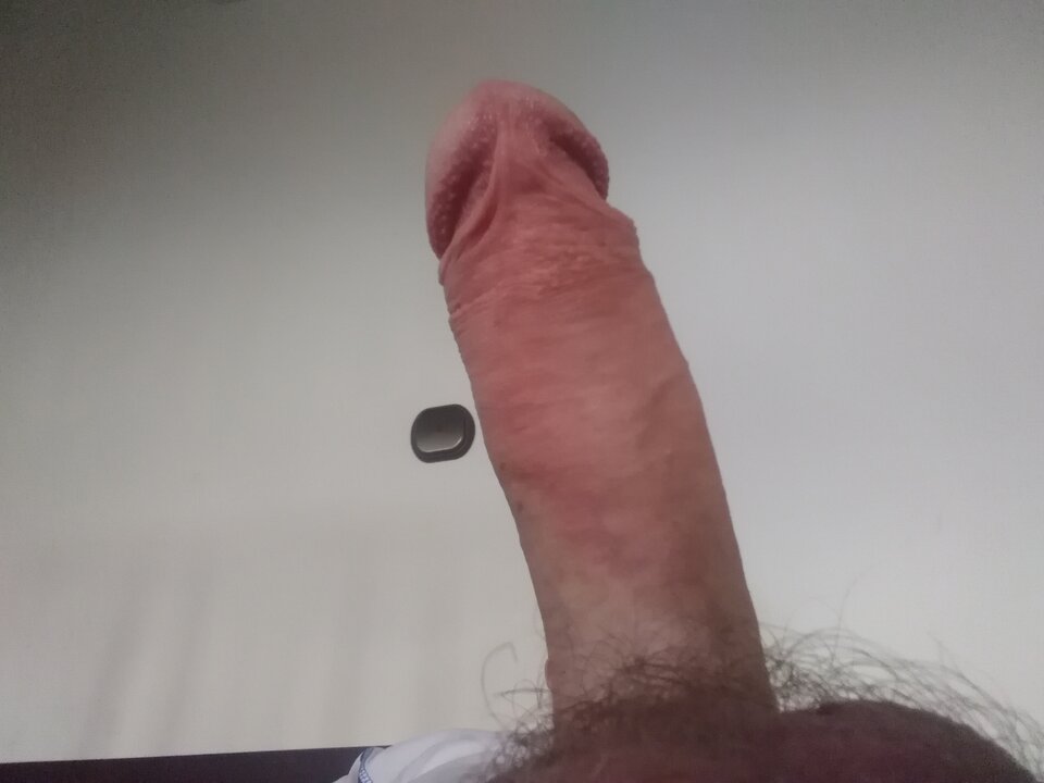 IMG_20200430_181510.jpg - Prawiczek01