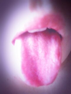 2020-02-22 12.28.51_1.jpg