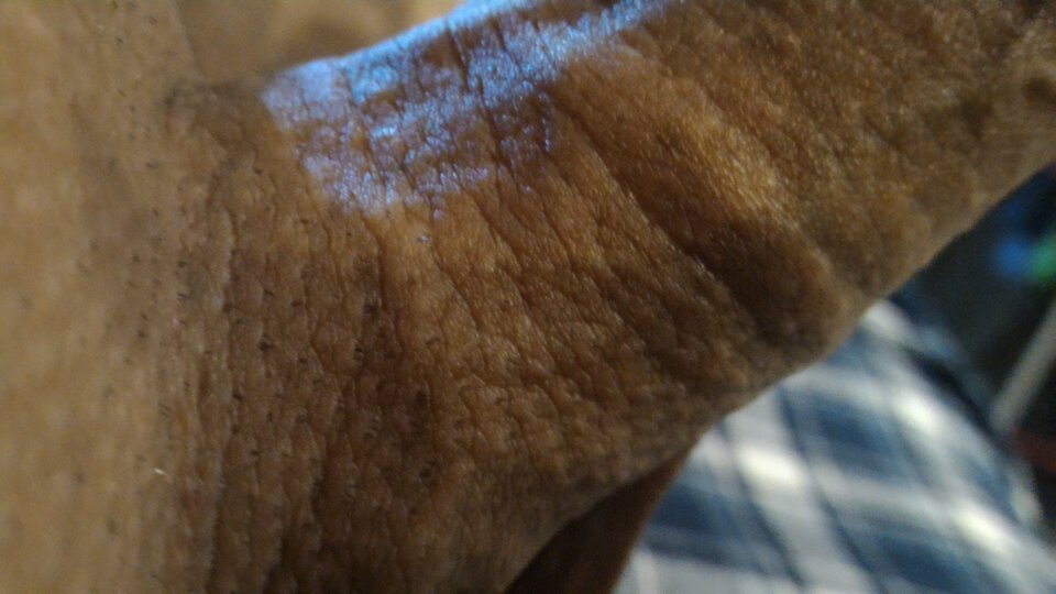 .P_20190714_221640.jpg - NoOrdinaryMan