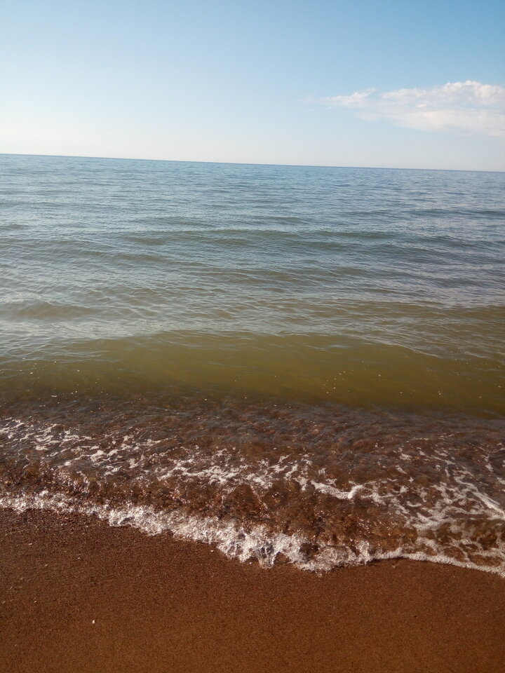 IMG_20200501_165239.jpg - Mrowka72