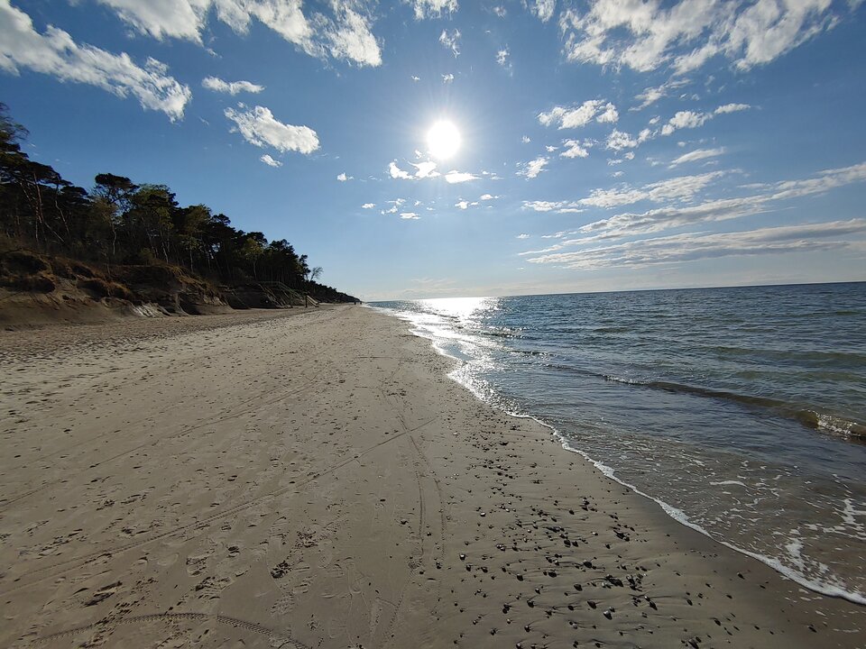 20200501_174911_HDR.jpg - bobb2