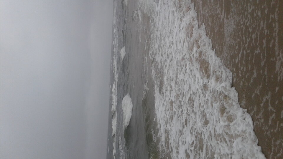 20170630_165606.jpg - owlosiony56