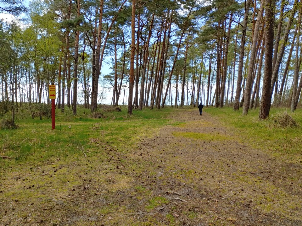 20200501_173020_HDR.jpg - bobb2