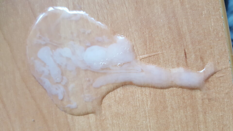 20200502_100727.jpg - StaszekPtaszek