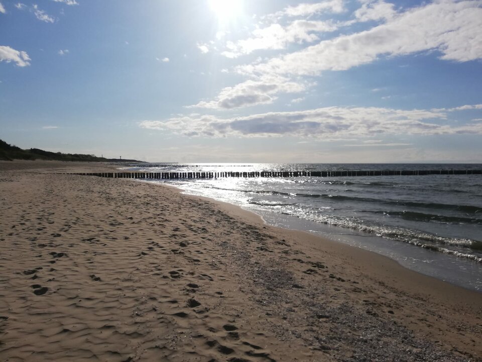 IMG-20200501-WA0002.jpg - Tito37