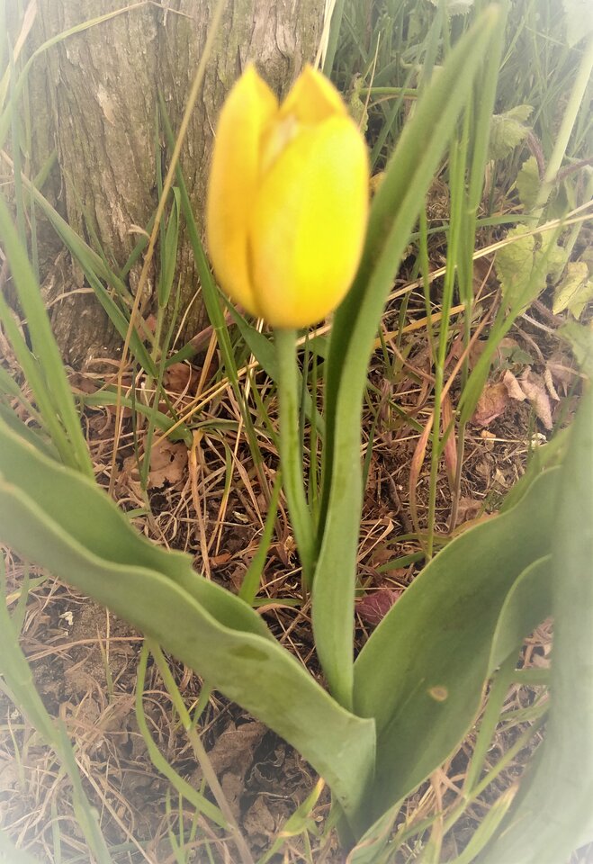 1111.jpg - markonii35