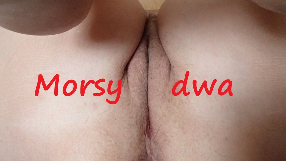 #zostańwdomu - Morsy_dwa