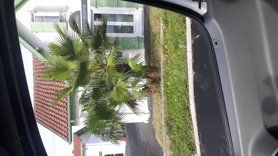 20191127_110801.jpg - Obserwatorobczaja