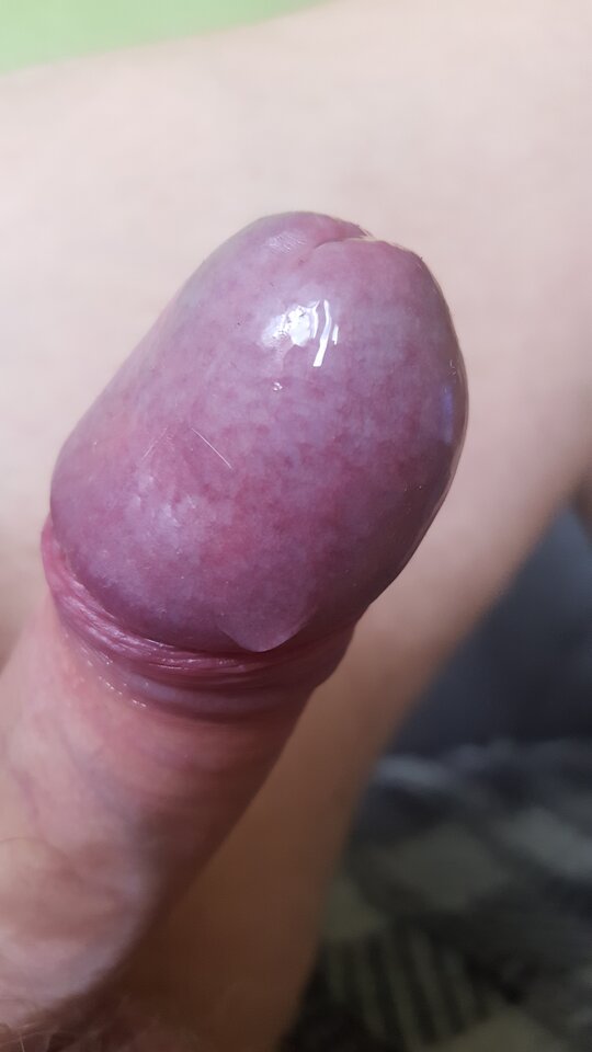 20200502_100316.jpg - StaszekPtaszek