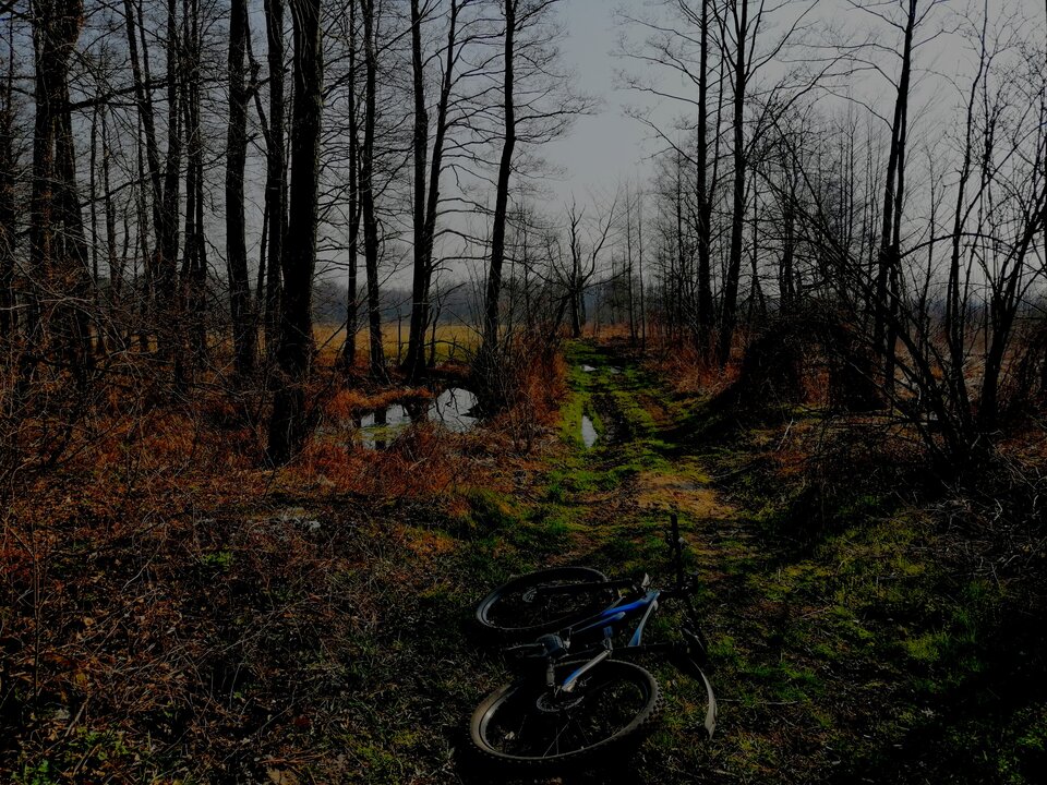 IMG_20200504_171238.jpg - JeyJey87