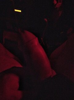 I.co.tu robić..😋