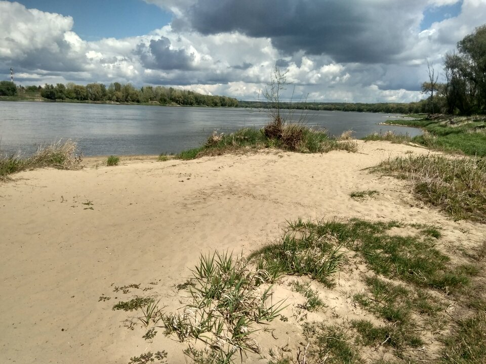 2020-05-05 12.33.31.jpg - slodkion83