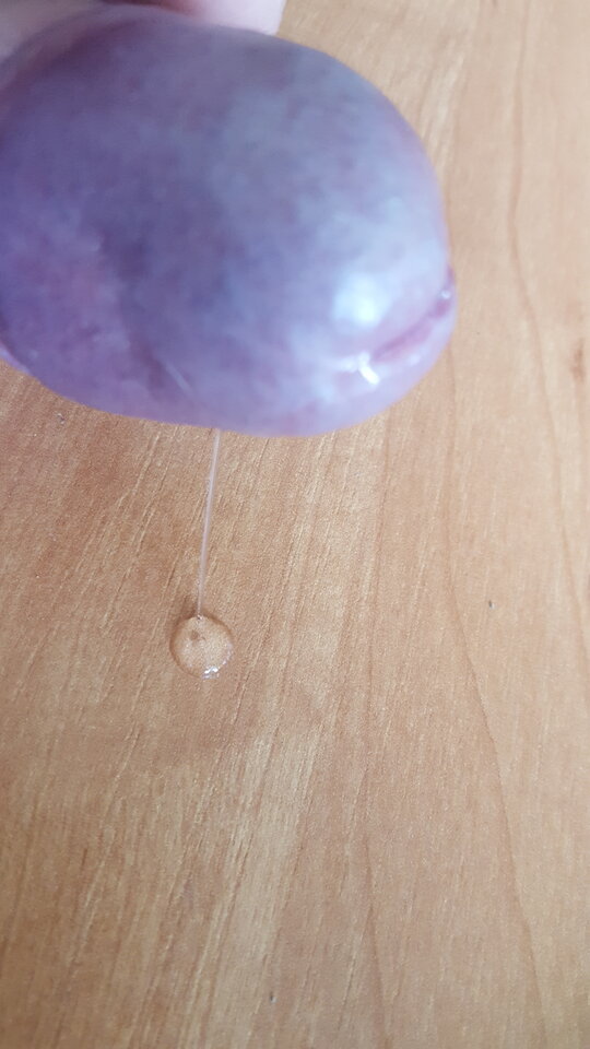 20200502_095907.jpg - StaszekPtaszek