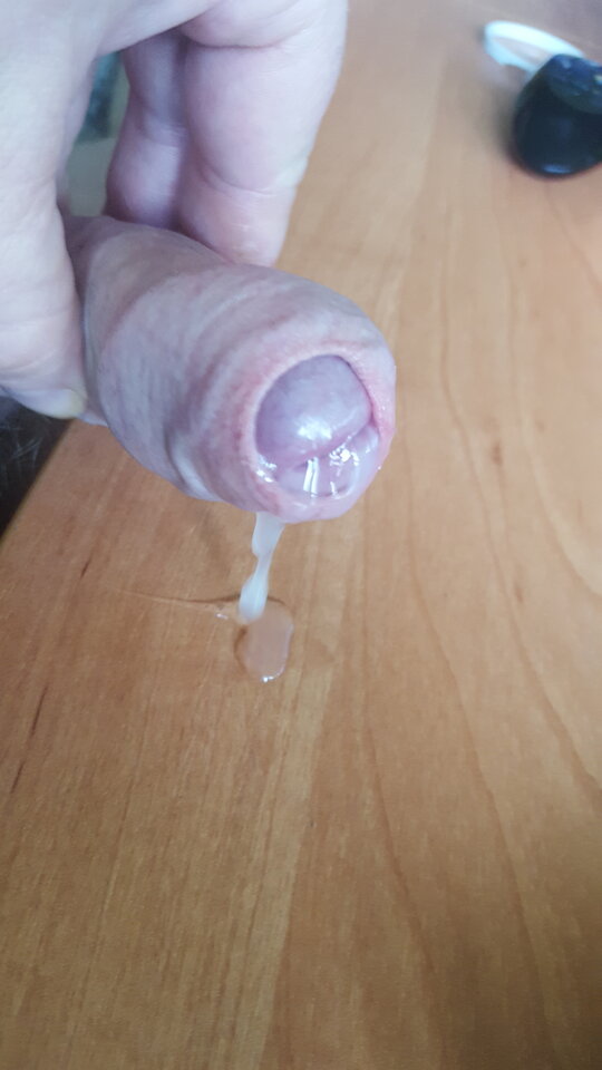 20200502_100520(0).jpg - StaszekPtaszek