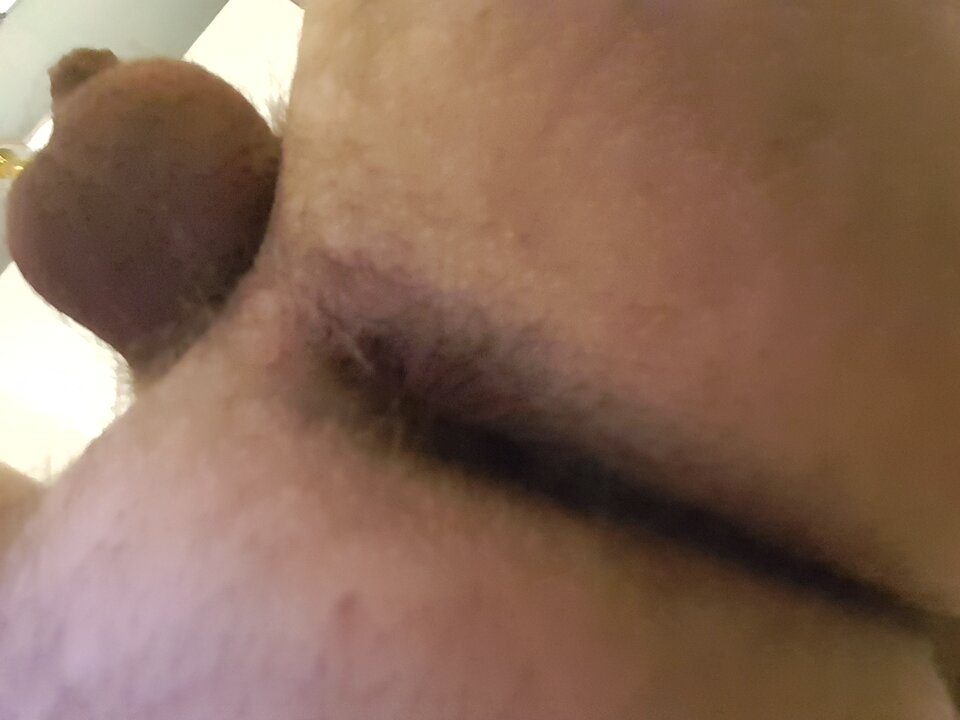 15888055823101057213761075187956.jpg - Dzikusowy