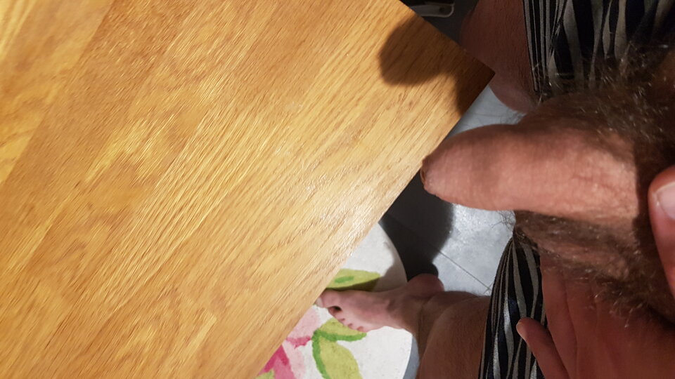 15888166276121303445266646064457.jpg - Dzikusowy