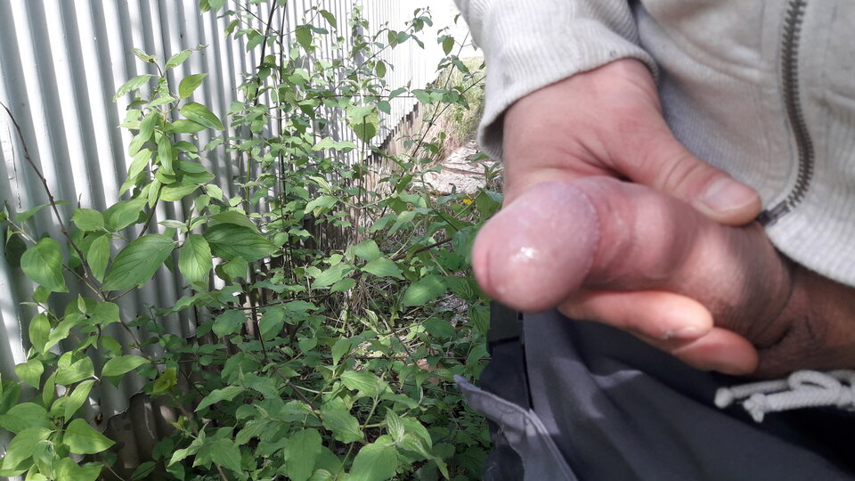 20200506_100600.jpg - dav211