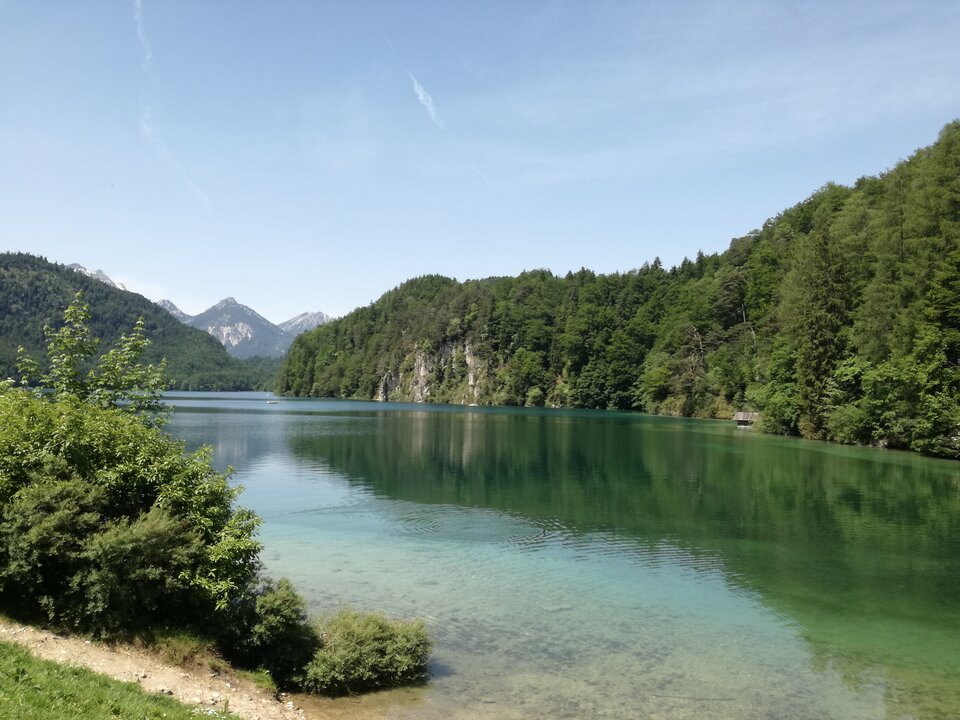 IMG_20190614_120640.jpg - 75lemoniada