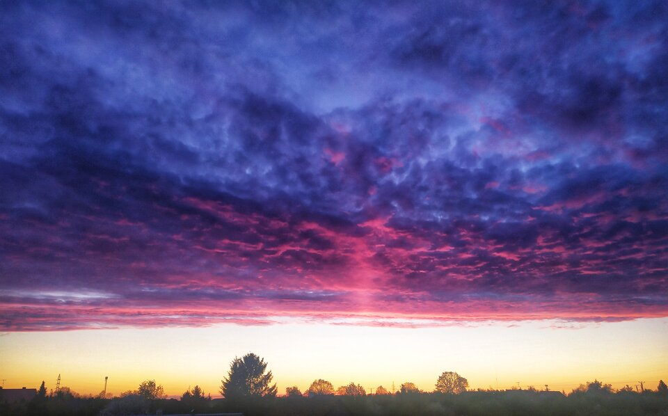 IMG_20200507_221050-01.jpeg - plomyki