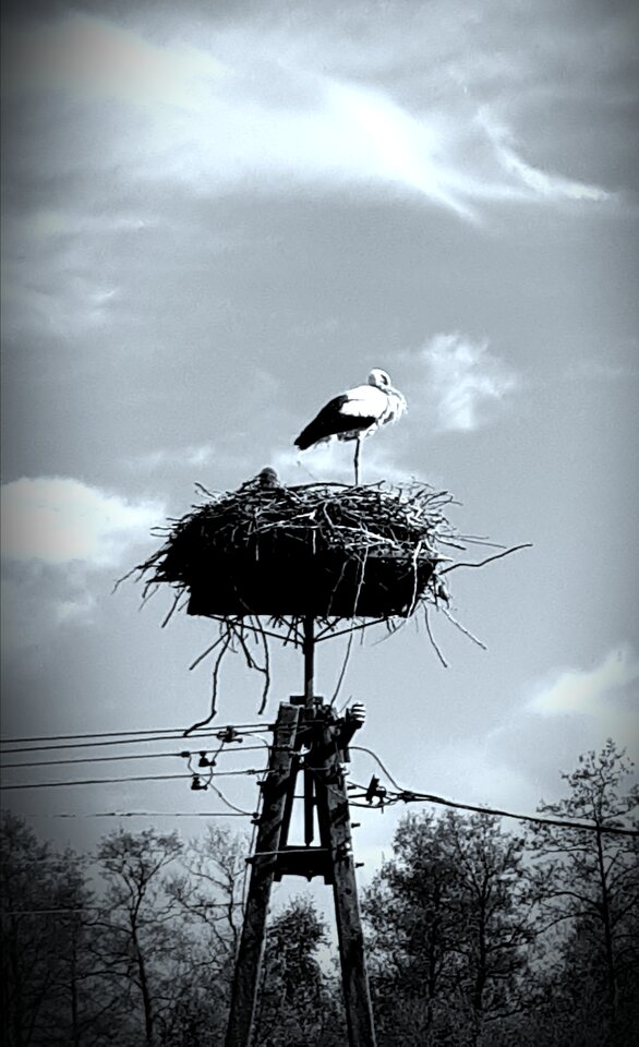 20200508_092727.jpg - Tabas0