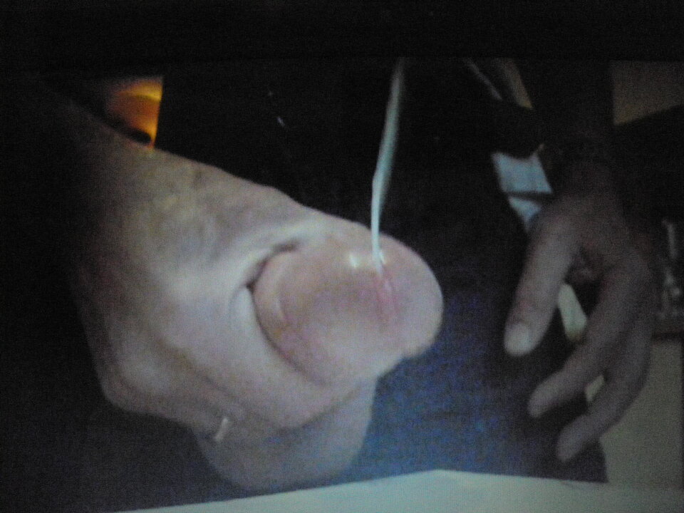 PA280215.JPG - jamnik7522