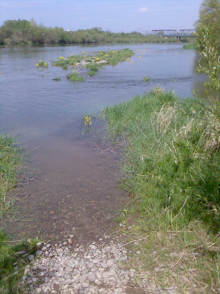 Zdjęcie066.jpg - piaszczysty00