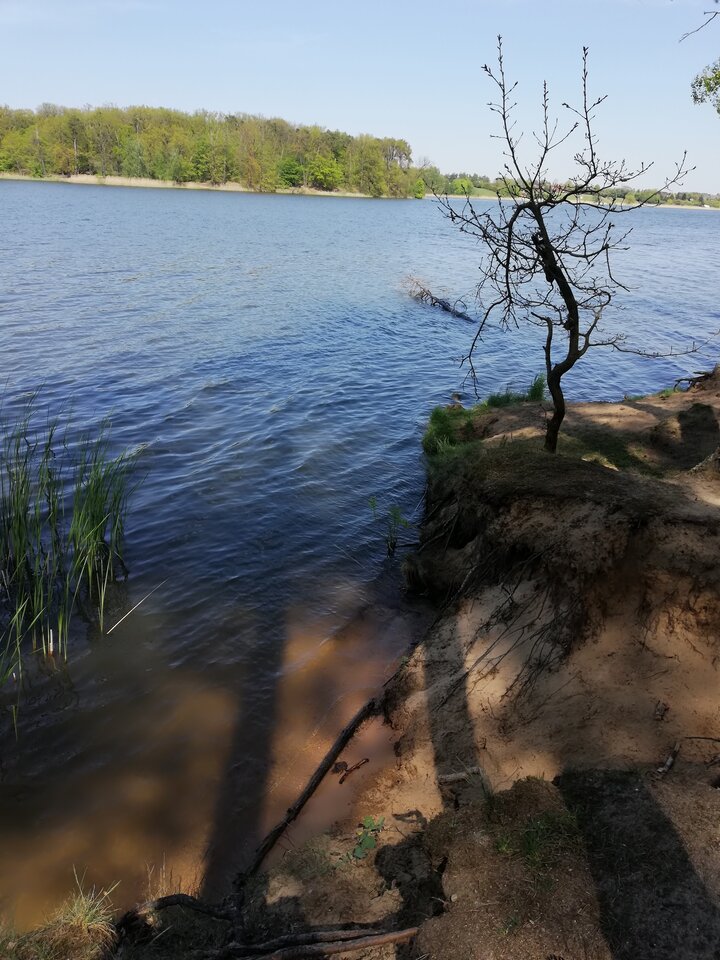 IMG_20200508_140022.jpg - shadik11