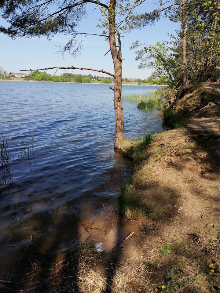 IMG_20200508_140618.jpg - shadik11