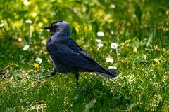 Przyszedł piąteczek ;)