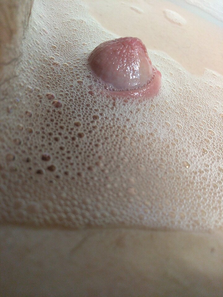 15890008355036301879597890927213.jpg - matuzalem000