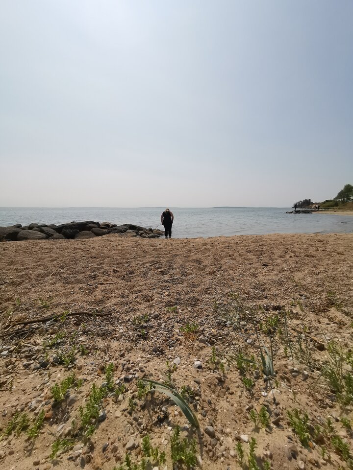 15890256042458491299284982754912.jpg - Voresfraekkeliv