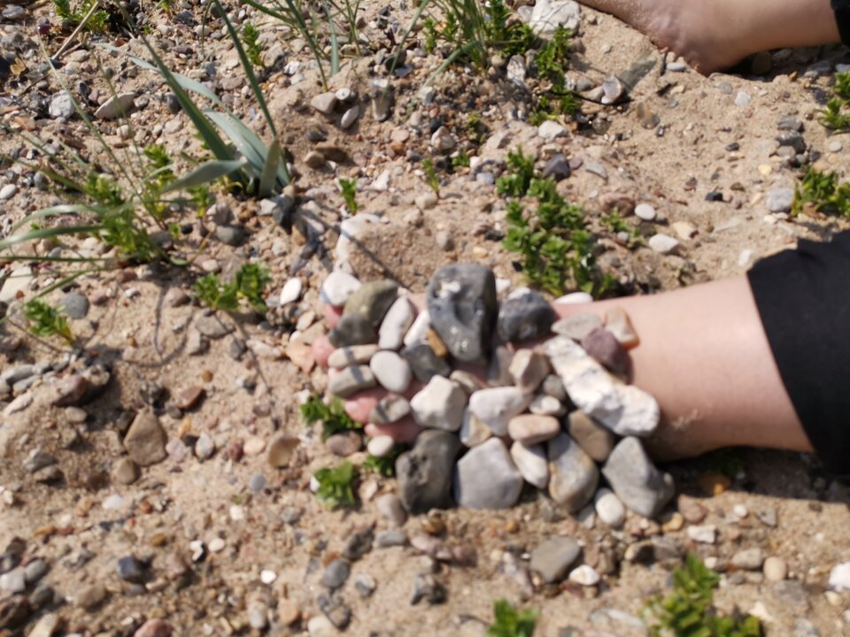 15890266553526482274207846922173.jpg - Voresfraekkeliv