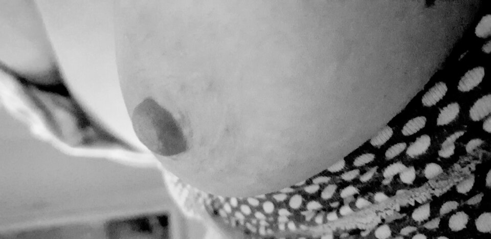 20200510_005030.jpg - Bzyczek1977