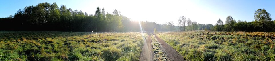 IMG_20200510_062727.jpg - JeyJey87