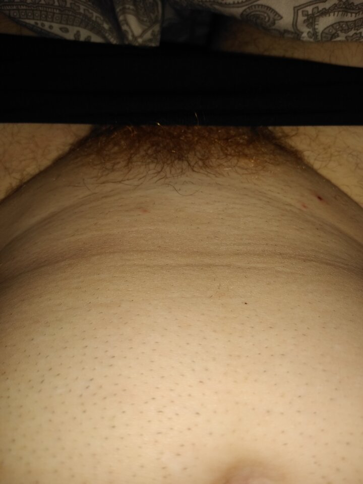 15890879546106228812845925142483.jpg - Palciusia