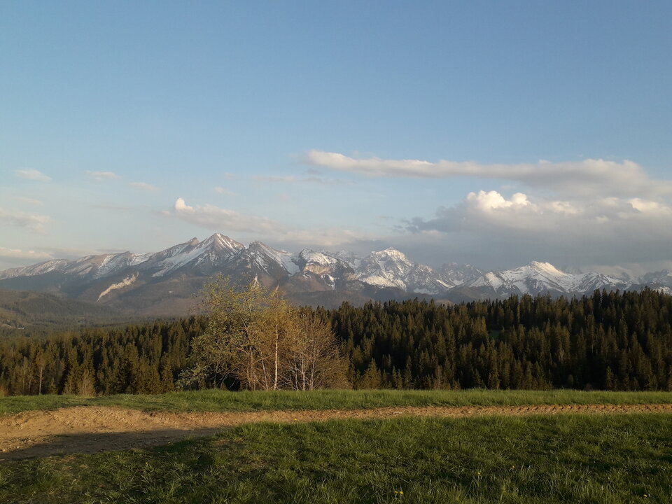 20200509_190054.jpg - tropiciel123