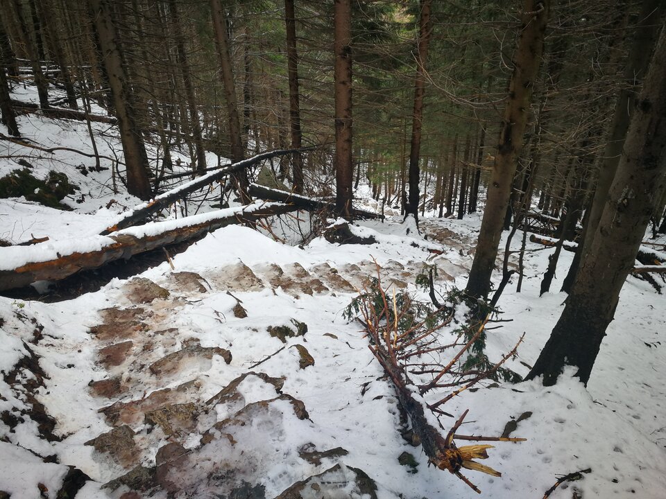 zb.jpg - MaciekBoribos